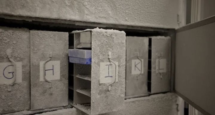 [서울=뉴시스] 사람의 대변을 냉동 창고에 보관해 미래 세대의 건강을 지키겠다는 이색 프로젝트가 진행 중이다.&nbsp; (사진=마이크로바이오타 프로젝트 홈페이지 갈무리) 2025.06.30 *재판매 및 DB 금지