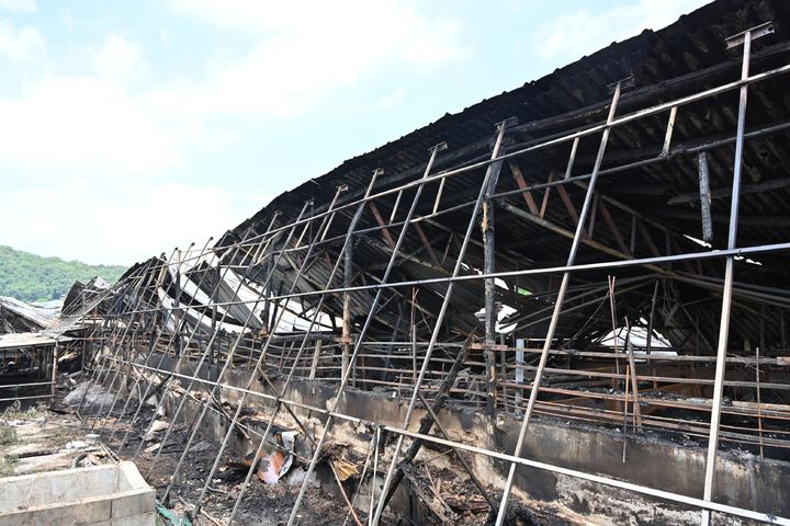 [대구=뉴시스] 지난 29일 오전 7시41분께 대구 군위군 군위읍의 한 돈사에서 화재가 발생했다. (사진=대구소방안전본부 제공) 2025.06.30. photo@newsis.com *재판매 및 DB 금지