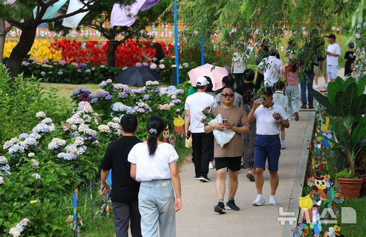 [강진=뉴시스] 강진 수국길 축제 (사진=강진군 제공)