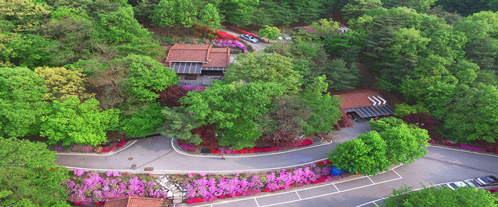 [음성=뉴시스] 음성 수레의산 자연휴양림. (사진=음성군 제공) photo@newsis.com *재판매 및 DB 금지