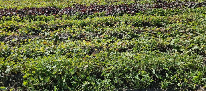 농진청, 전북 상생 전략 확대…지역 발전사업 39개로 늘려