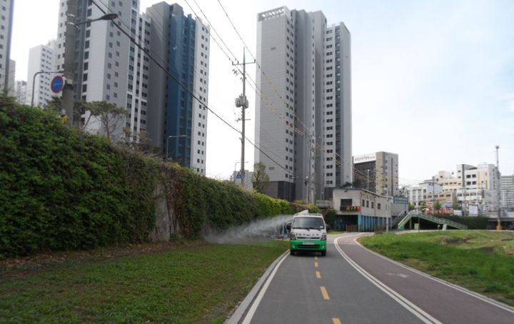 [광명=뉴시스]광명시가 30일 방역차량을 활용해 러브버그를 퇴치하고 있다.(사진=광명시 제공)2025.06.30.photo@newsis.com *재판매 및 DB 금지