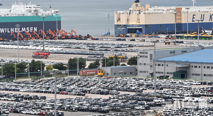 [평택=뉴시스] 김종택 기자 = 경기 평택항 자동차 전용부두에 선적을 기다리는 수출용 차량이 세워져 있는 모습. 2025.06.30. jtk@newsis.com