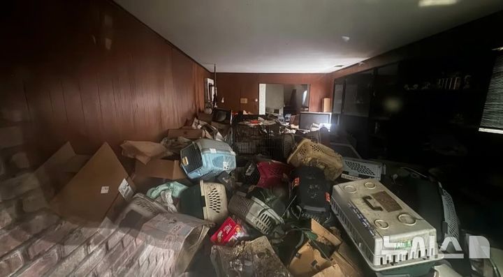 [뉴시스]미국 브루클린의 한 주택에서 73세의 여성이 80마리의 방치된 개와 쓰레기 더미에 고립돼 사망한 채로 발견됐다. (사진=뉴욕포스트) 