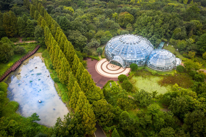 [수원=뉴시스] 물향기수목원. (사진=경기도 제공) 2025.07.01. photo@newsis.com *재판매 및 DB 금지