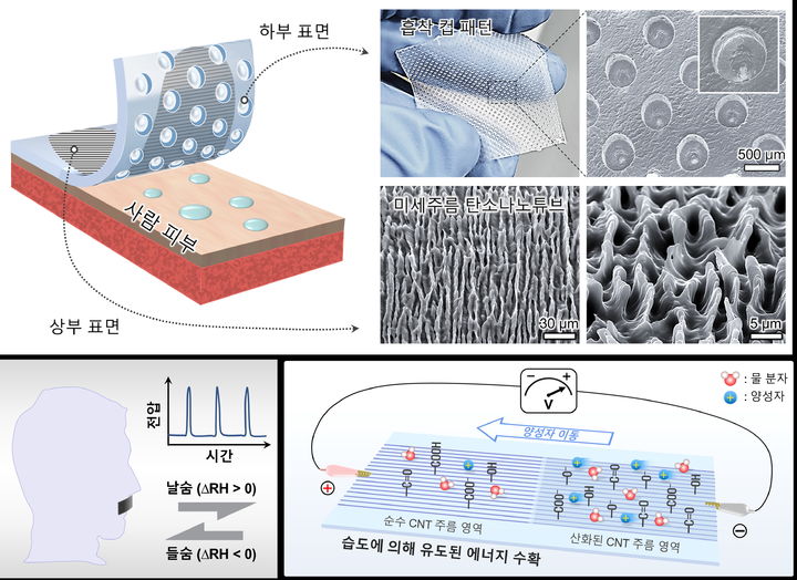 피부 부착형 습도 에너지 하베스팅 패치 개요도. (사진=한양대 제공) *재판매 및 DB 금지