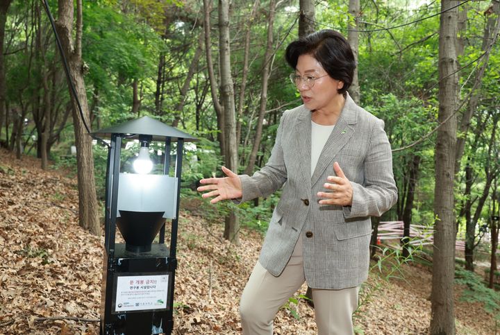 [서울=뉴시스] 은평구, 여름철 대발생 ‘러브버그’ 친환경 방제 총력. 2025.07.01. (사진=은평구 제공) *재판매 및 DB 금지