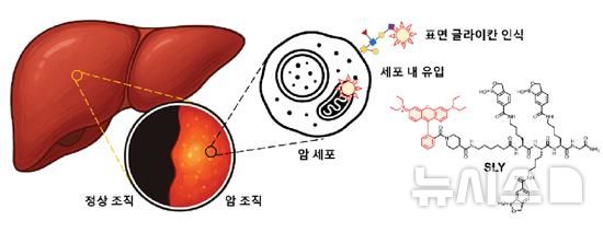 연구 이미지.(포스텍 제공)