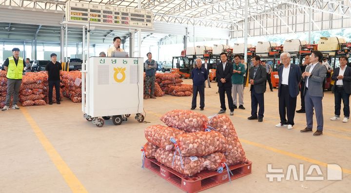 영천 신녕농협 마늘경매식 집하장 ‘햇마늘 초매식'