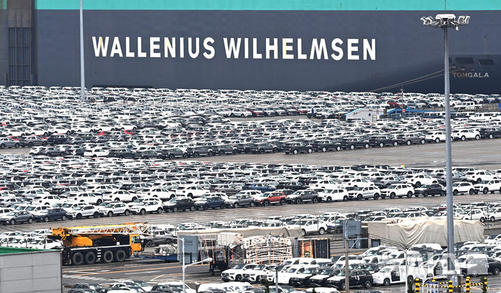 [평택=뉴시스] 김종택 기자 = 미국 관세 영향에도 핵심 주력 상품인 반도체가 사상 최대 실적을 기록하고 자동차 수출도 6월 역대 최대 실적을 달성하면서 전체 수출 실적을 끌어 올렸다. 1일 산업통상자원부 6월 수출입 동향 발표에 따르면 6월 수출액은 598억달러로 전년 동월 대비 4.3% 증가했다.&nbsp; 월간 수출은 2023년 10월부터 15개월 연속으로 전년 동월 대비 증가한 뒤 올해 1월 감소로 전환했다. 이후 3개월 연속 증가 뒤 지난 5월 감소로 돌아섰는데, 한 달 만에 다시 증가세를 회복한 것이다. 사진은 1일 경기 평택항 자동차 전용부두에 수출용 차량이 세워져 있는 모습. 2025.07.01. jtk@newsis.com