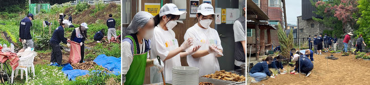 [서울=뉴시스] 교촌치킨, 대학 RCY '촌스러버'와 충남 아산서 농촌 봉사활동.(사진=교촌에프앤비 제공) *재판매 및 DB 금지