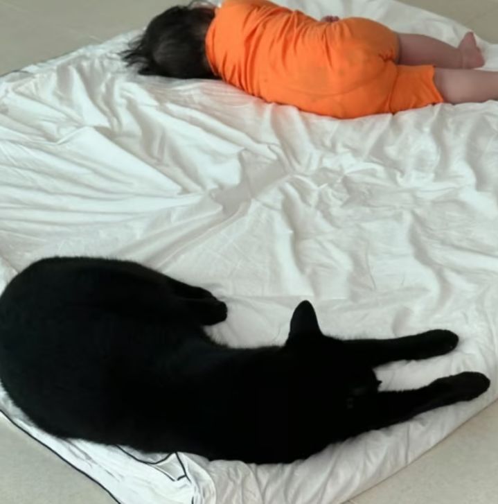 [서울=뉴시스] 박수홍 딸과 반려묘 다홍이의 모습. (사진=박수홍 인스타그램 캡처) 2025.07.02. photo@newsis.com *재판매 및 DB 금지