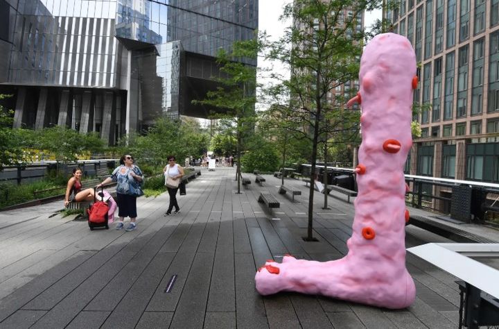 [서울=뉴시스] 미국 맨해튼에 위치한 하이 라인 공원에는 아르헨티나 출신 예술가 미카 로텐버그의 작품이 설치됐다. (사진=뉴욕포스트 캡처) 2025.07.02 *재판매 및 DB 금지