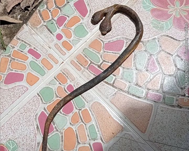 [뉴시스] (사진=naewna.com) *재판매 및 DB 금지