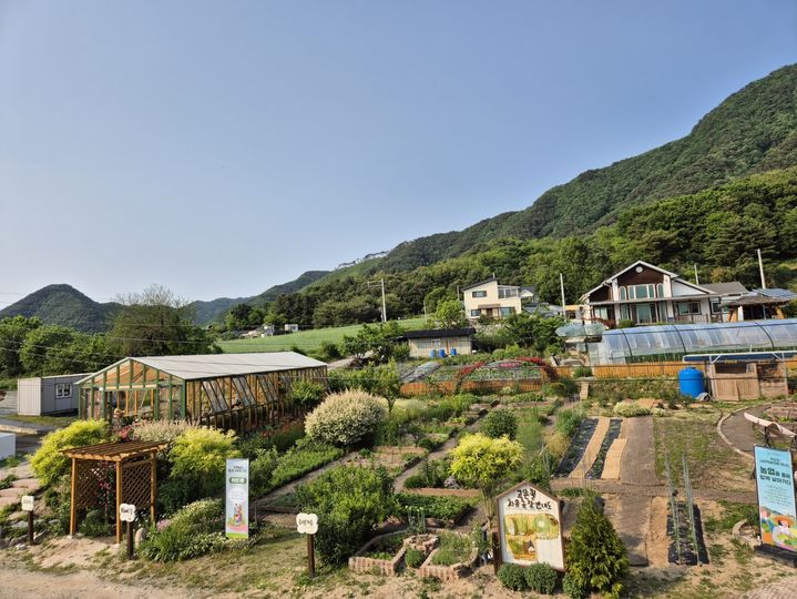 [세종=뉴시스] 사진은 강원 춘천시 '고은원예치료센터' 모습. 이 곳은 허브, 채소, 식용 꽃 등 다양한 식물을 심고 가꾸며 방문객의 신체적·정서적 회복을 돕는 맞춤형 프로그램을 제공한다고 농촌진흥청이 2일 밝혔다. (사진=농진청 제공) 2025.07.02. photo@newsis.com *재판매 및 DB 금지