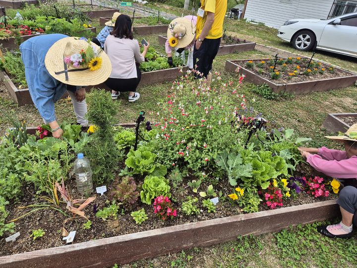 [세종=뉴시스] 사진은 강원 춘천시 '고은원예치료센터' 모습. 이 곳은 허브, 채소, 식용 꽃 등 다양한 식물을 심고 가꾸며 방문객의 신체적·정서적 회복을 돕는 맞춤형 프로그램을 제공한다고 농촌진흥청이 2일 밝혔다. (사진=농진청 제공) 2025.07.02. photo@newsis.com *재판매 및 DB 금지