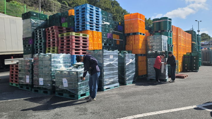 미국 수출길 오르는 광주김치. (사진=광주시 제공) *재판매 및 DB 금지