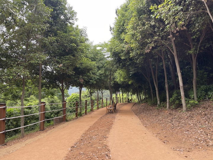 [통영=뉴시스] 신정철 기자= 통영시는 자연친화적 야외활동과 시민 건강 증진을 위해 추진해 온 ‘권역별 맨발걷기길 확충사업’의 일환으로 통영생태숲과 안정공원에 맨발걷기길을 조성했다고 2일 밝혔다.사진은 안정공원 맨발걷기길 모습.(사진=통영시 제공).2025.07.02. photo@newsis.com *재판매 및 DB 금지