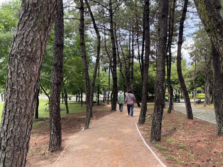 [통영=뉴시스] 신정철 기자= 통영시는 자연친화적 야외활동과 시민 건강 증진을 위해 추진해 온 ‘권역별 맨발걷기길 확충사업’의 일환으로 통영생태숲과 안정공원에 맨발걷기길을 조성했다고 2일 밝혔다.사진은 통영생태숲 맨발걷기길 모습.(사진=통영시 제공).2025.07.02. photo@newsis.com *재판매 및 DB 금지