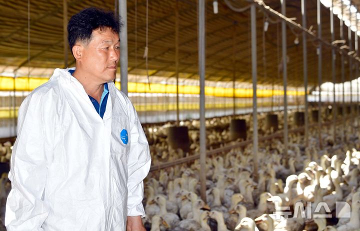 [나주=뉴시스] 이현행 기자 = 전남 전 지역에 엿새째 폭염특보가 계속되는 2일 오전 전남 나주시 세지면에서 오리 농장을 운영하는 임종근(58)씨가 무더위에 지친 오리들을 안쓰러운 눈으로 바라보고 있다. 2025.07.02. lhh@newsis.com