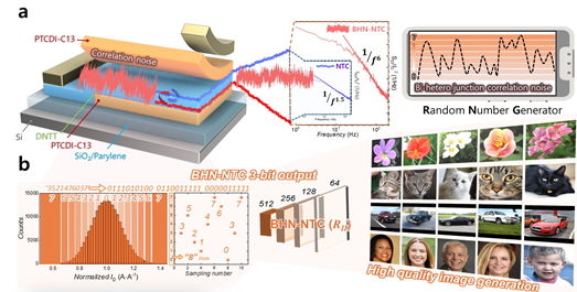 사진은 (a)제안 소자의 소자 구조도 및 계면 노이즈 중첩 현상 응용을 통한 진성 난수 발생기 생성과 관련한 개략도, (b)3비트 디지털 진성 난수 출력 변환 과정과 이를 활용한 꽃, 고양이, 자동차, 사람의 실제 AI 이미지 생성 기술 구현 결과 이미지. (사진=한양대 제공) *재판매 및 DB 금지