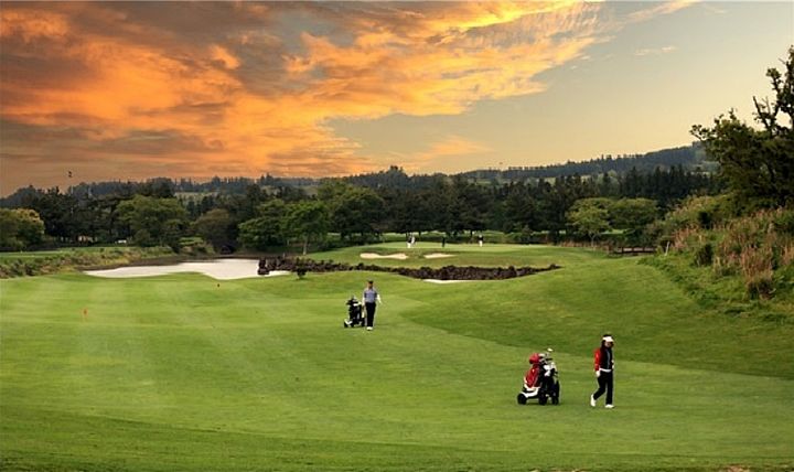 *재판매 및 DB 금지