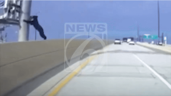 [서울=뉴시스] 곰이 난간에 서 기둥을 잡고 잇는 장면이 지나가던 차량의 블랙박스에 포착됐다. (사진=News 6 WKMG) 07.01. *재판매 및 DB 금지