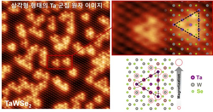 [울산=뉴시스] 구미현 기자 = 주사터널링현미경(STM)을 이용해 측정한 탄탈럼-텅스텐 디셀레나이드(TaWSe2)이미지, 탄탈럼(Ta) 군집 구조를 기반으로 한 자기 모멘트(magnetic moment) 분포 모델(오른쪽 하단) (울산대 제공) photo@newsis.com *재판매 및 DB 금지