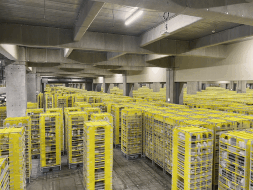 [지바=뉴시스]전병훈 기자 = 지난달 30일 찾은 지바 미나토 아마존 풀필먼트 센터에서 아마존이 개발한 헤라클래스 드라이브 유닛이 포드를 운반하고 있는 모습이다. *재판매 및 DB 금지 *재판매 및 DB 금지 *재판매 및 DB 금지