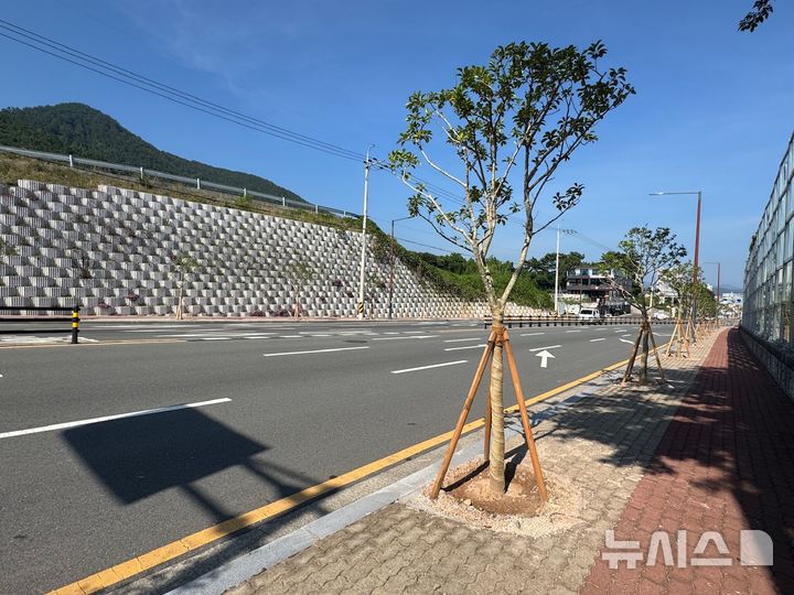 사천시, 중로1-21호선·사천대교로 가로수 조성사업 완료