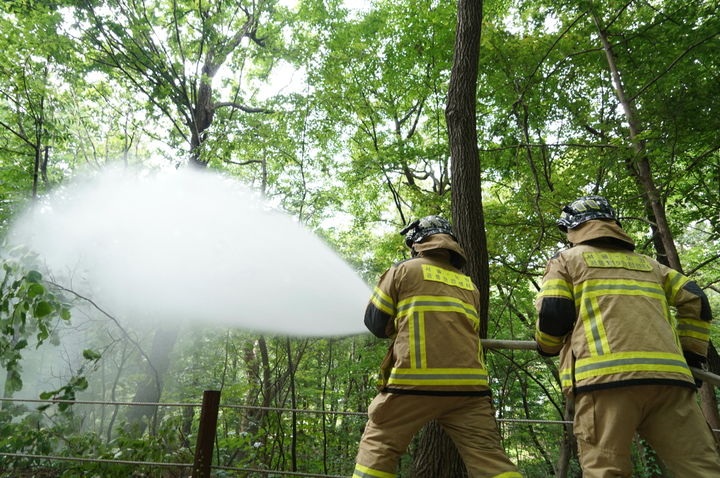 [서울=뉴시스] 방제현장 사진. 2025.07.03. (사진=서울시 제공) *재판매 및 DB 금지