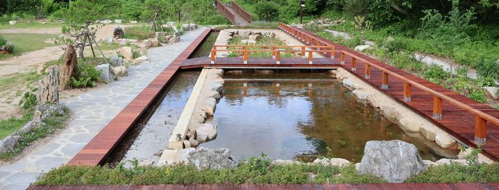 [대전=뉴시스] 국립한국자생식물원에 조성된 옹달샘정원의 모습.(사진=한국수목원정원관리원 제공) *재판매 및 DB 금지