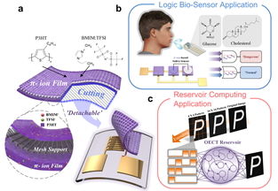 (a)제안 소자의 소자 구조도 및 분리할 수 있는 유기 전해질 반도체 교체 개략도. (b)바이오 센서에 응용하여 고혈압 감지 회로 개략도. (c)소자의 시냅스 특성을 활용한 레버저 컴퓨팅 응용 연구 이미지. (사진=한양대 제공) *재판매 및 DB 금지