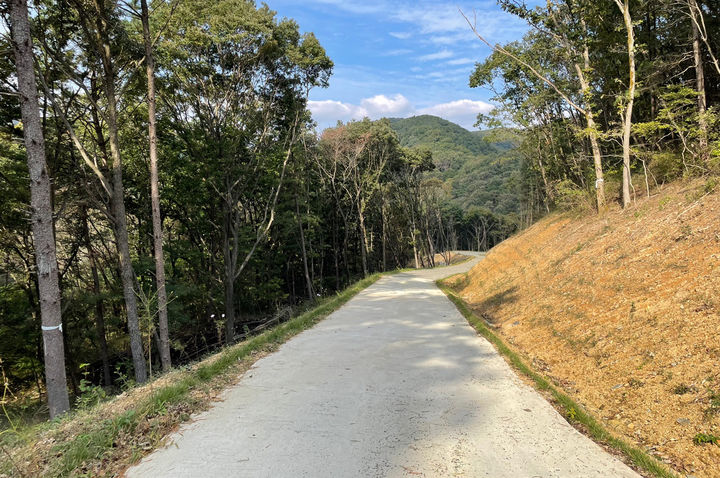 [순창=뉴시스] 순창군이 쌍치면 일원에 조성한 간선임도. *재판매 및 DB 금지