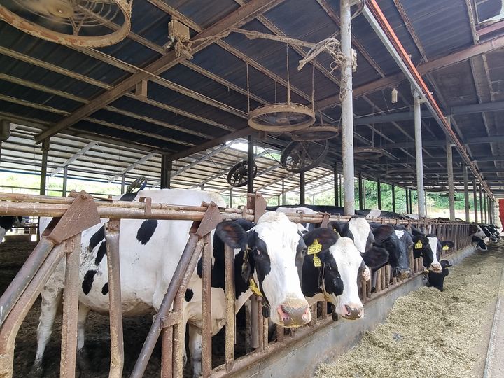 폭염에 축사 환풍기 가동.(사진=경남도 제공) 2025.07.03. *재판매 및 DB 금지