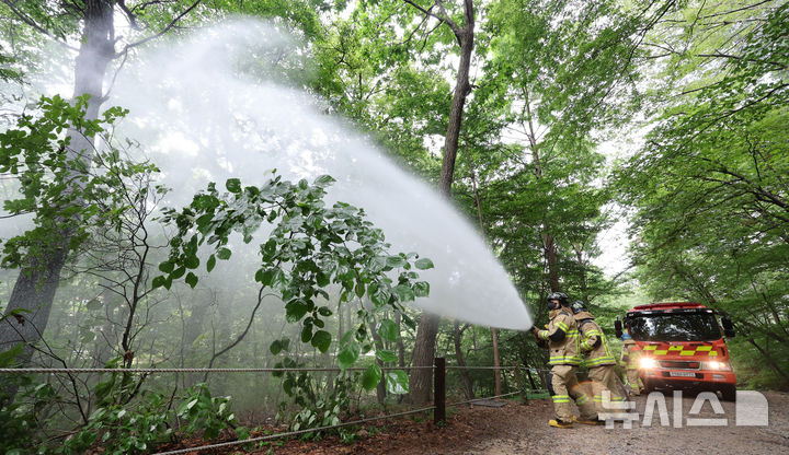 [서울=뉴시스] 권창회 기자 = 3일 서울 노원구 삼육대학교 인근 제명호에서 서울소방 관계자들이 '러브버그(붉은등우단털파리)' 방제작업을 하고 있다. 2025.07.03. kch0523@newsis.com