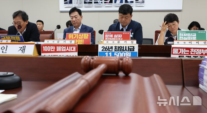 [세종=뉴시스] 강종민 기자 = 3일 세종시 정부세종청사에서 열린 최저임금위원회 9차 전원회의에 참석한 류기정 사용자위원과 류기섭 근로자위원이 의사봉 뒤로 나란히 앉아 있다. 2025.07.03. ppkjm@newsis.com