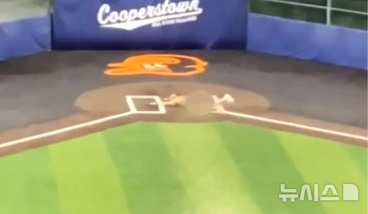 [뉴시스]미국의 유소년 야구 코치 두 명이 아이들이 보는 앞에서 알몸으로 질주하는 등 돌발 행동을 벌여 결국 해고됐다. (사진=뉴욕포스트) 