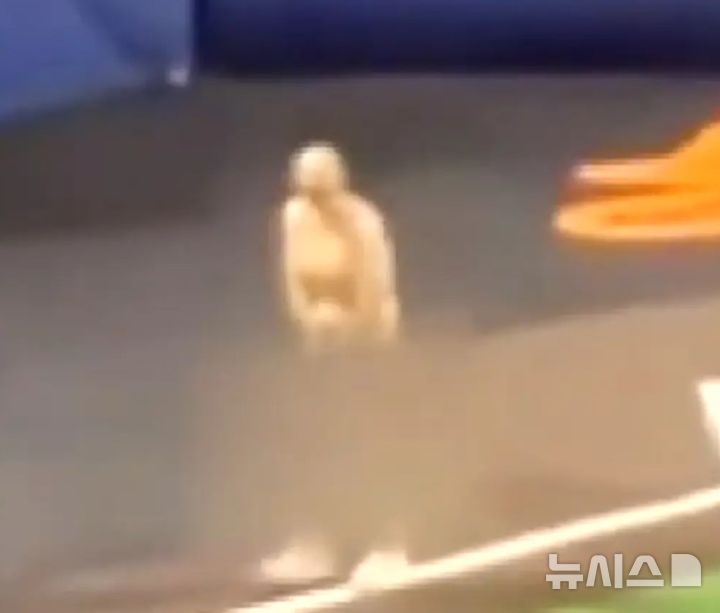 [뉴시스]미국의 유소년 야구 코치 두 명이 아이들이 보는 앞에서 알몸으로 질주하는 등 돌발 행동을 벌여 결국 해고됐다. (사진=뉴욕포스트) 