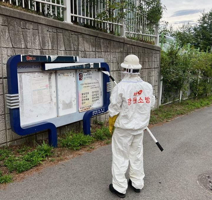 [동해=뉴시스] 동해소방서가 벌집을 제거하고 있는 모습.(사진=동해소방서 제공)photo@newsis.com *재판매 및 DB 금지