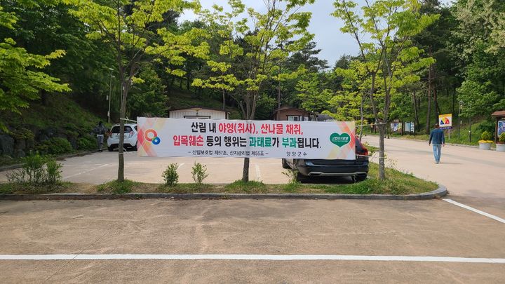 [양양=뉴시스] 양양군 산림 내 야영장 금지 안내 현수막.(사진=양양군 제공)photo@newsis.com *재판매 및 DB 금지