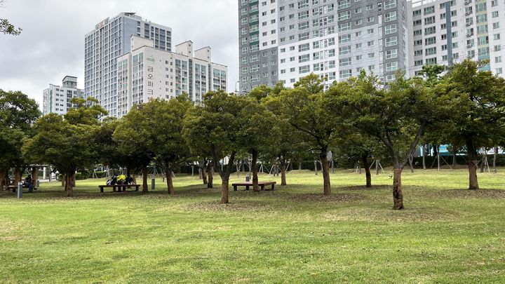 [부산=뉴시스] 이아름 기자 = 부산콘서트홀 새 주차장 조성 부지. 2025.06.20. aha@newsis.com *재판매 및 DB 금지