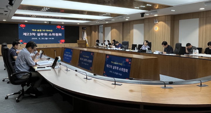 [무안=뉴시스] 여순사건 실무위 소위원회. (사진 제공 = 전남도). 2025.07.04. photo@newsis.com  *재판매 및 DB 금지