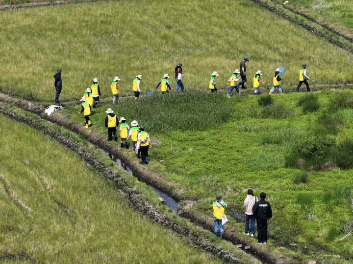 [제주=뉴시스] 람사르습지도시 서귀포시 어린이습지탐사대. (사진=서귀포시 협약인증습지도시 등 지역관리위원회 제공) 2025.07.04. photo@newsis.com *재판매 및 DB 금지