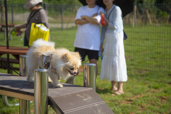 안성맞춤랜드(사진=경기관광공사 제공) *재판매 및 DB 금지