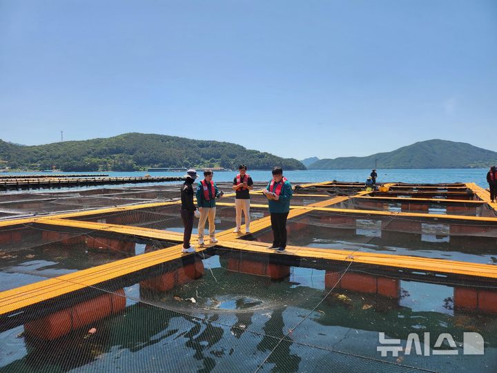 [통영=뉴시스]경남도가 가두리 양식장 고수온 대응 현장 점검을 하고 있다. (사진=경남도 제공) 2025.07.04. photo@newsis.com