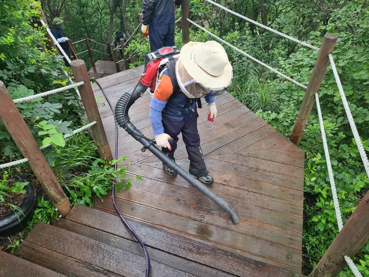 [서울=뉴시스] 4일 환경부 및 소속기관 직원들이 인천 계양구 계양산에서 러브버그(붉은등우단털파리) 성체를 제거하기 위해 송풍기와 포충망을 활용하여 방제 작업을 하고 있다. (사진=환경부 제공) 2025.07.04. photo@newsis.com *재판매 및 DB 금지