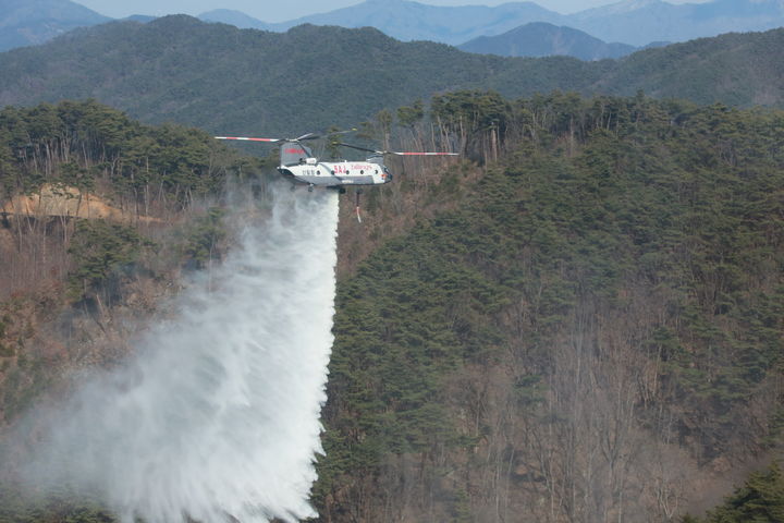 [대전=뉴시스] 산림청이 지난해 해외에서 임차한 대형헬기(모델234)의 산불진화 모습.(사진=산림청 제공) *재판매 및 DB 금지