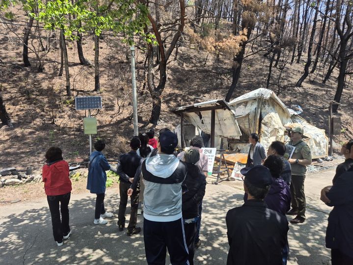 [청송=뉴시스] 생태관광 프로그램 참가자들이 주왕산 산불 발생 현장을 방문해 기후변화와 생물다양성 위기 등을 체감하고 있다. (사진=주왕산국립공원사무소 제공) 2025.07.06. photo@newsis.com *재판매 및 DB 금지