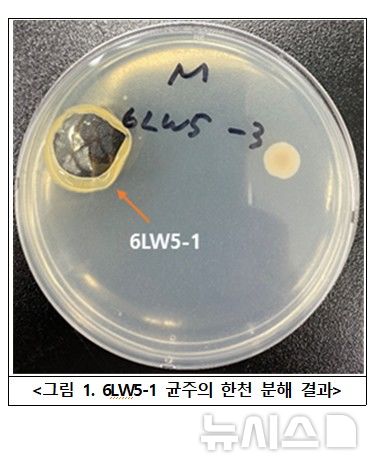 [서울=뉴시스] 